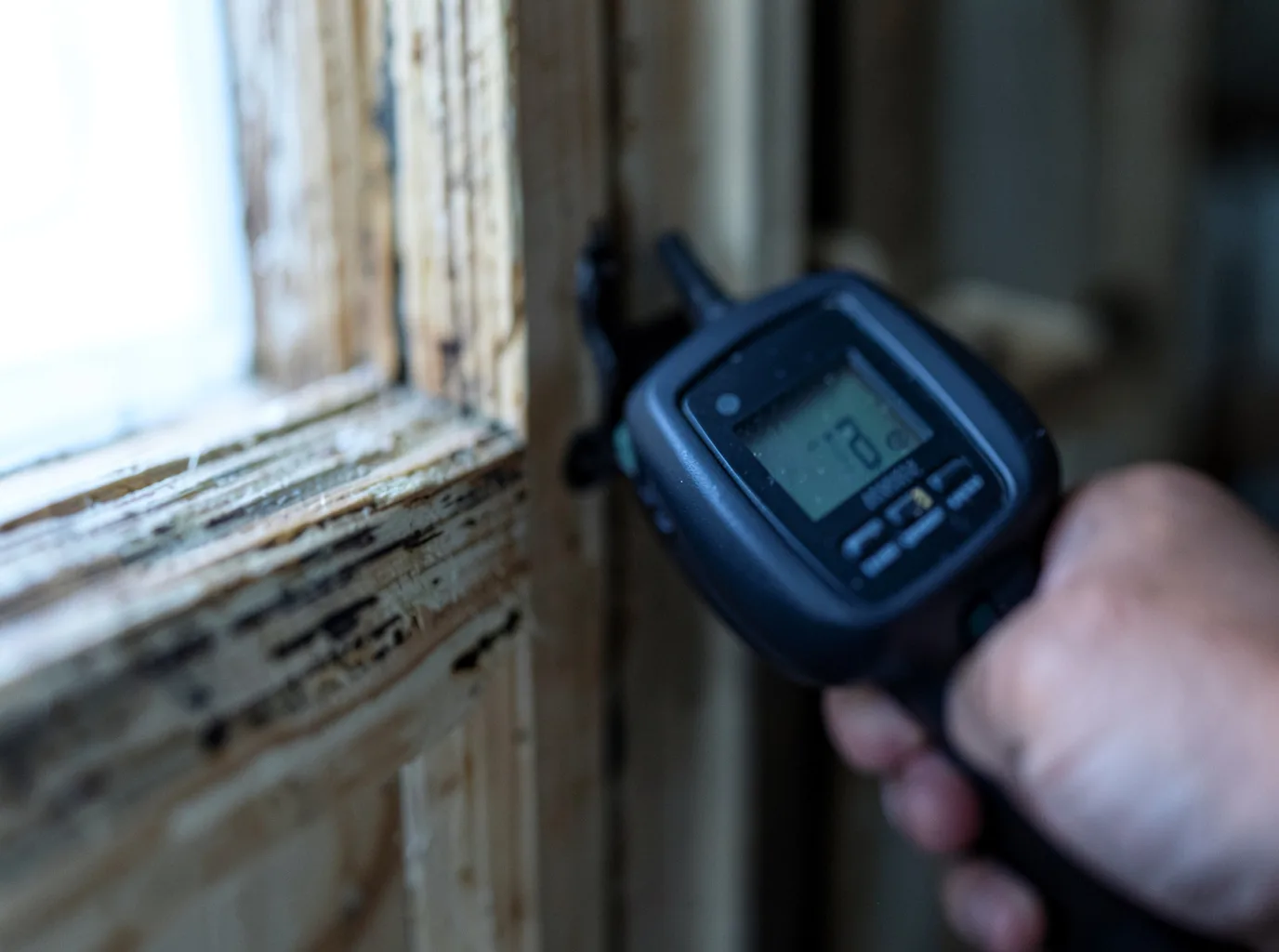 Moisture Inspection And Documentation in Greensburg, KY